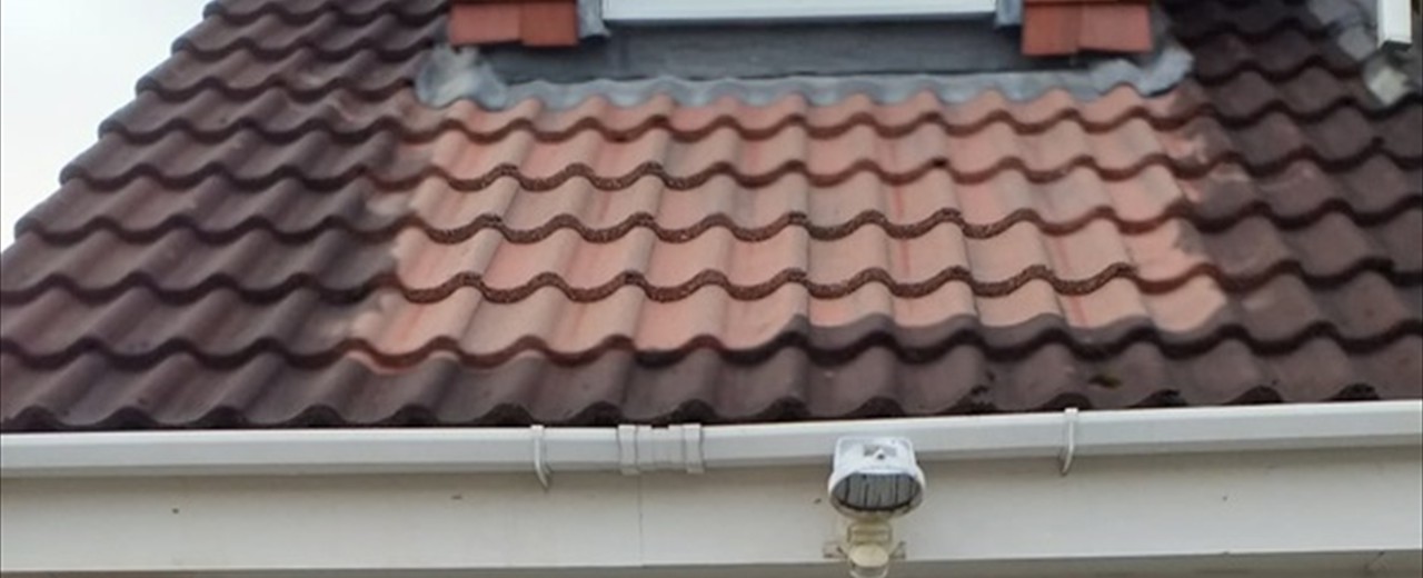 Roof Steam Cleaning